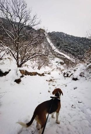 WuJi Home Great Wall Holiday Inn北京吾己民宿长城之下 Vacation rental in Beijing