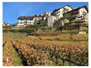 La Vigneronne, Tuin Vacation rental in Montreux