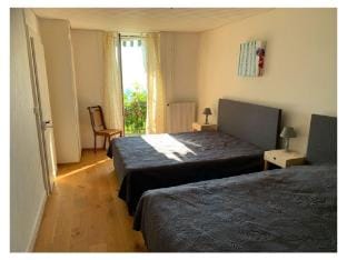 La Vigneronne, Tuin Vacation rental in Montreux