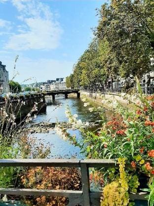T2 centre-ville à la cathédrale Apartment in Quimper