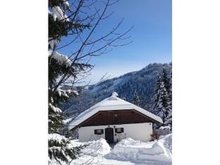 The Karl Anton Hutte Vacation rental in Carinthia, Austria