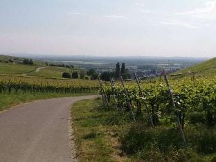 Huis op de Sonnberg - Sauna Vacation rental in Baden-Württemberg