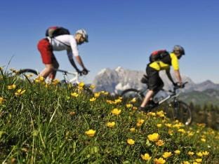 Lubbers Comfortable holiday residence Vacation rental in Salzburgerland