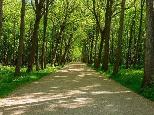 Bungalow near Dutch Beach with Garden Vacation rental in Oostkapelle