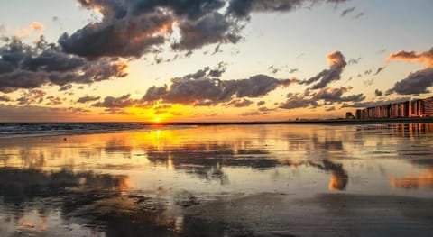 Cozy studio on the 5th floor with terrace Apartment in Middelkerke