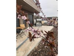 Lake idyll Comfortable holiday residence Vacation rental in Rheinsberg