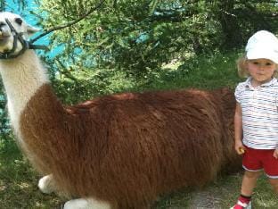 Deluxe Sun Salutation Vacation rental in Tirol