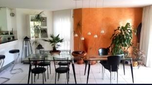 Villa Matthy
Casa giardino fronte fiume - nuotare Vacation rental in Aargau, Switzerland