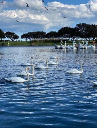 Beachfront getaway, with Pool table and Hot tub Vacation rental in Portsmouth