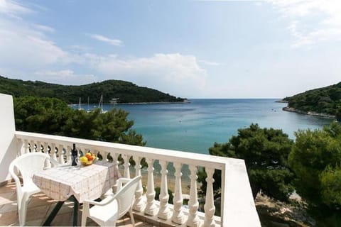 Apartmetns Franka Saplunara-One-Bedroom Apartment with Terrace and Sea View No2 Apartment in Korita, Mljet