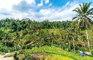 1BDR Villa Serenity in Ubud Villa in Ubud