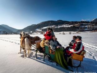 Amazing chalet with Finnish Sauna Vacation rental in Schladming