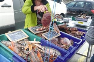 Holiday Home in Santec near Dossen Beach Vacation rental in Santec