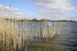 Ferienhaus am Schaalsee, Zarrentin Vacation rental in Schleswig-Holstein