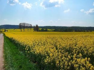 Ferienhaus in Neukalen Vacation rental in Mecklenburgische Seenplatte