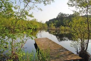 Chalet near Baltic Sea and Wolinski Park Vacation rental in West Pomeranian Voivodeship, Poland