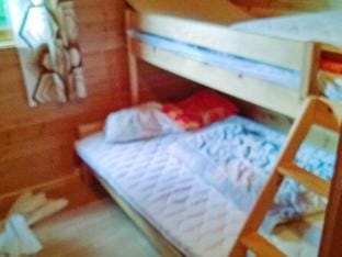 person holiday home in ENGAVAGEN-By Traum Vacation rental in Nordland, Norway