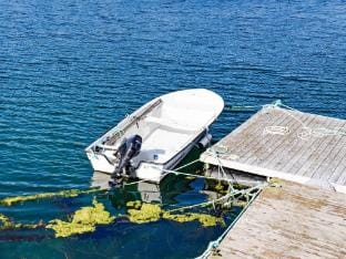 person holiday home in Naustbukta-By Traum Vacation rental in Nordland, Norway