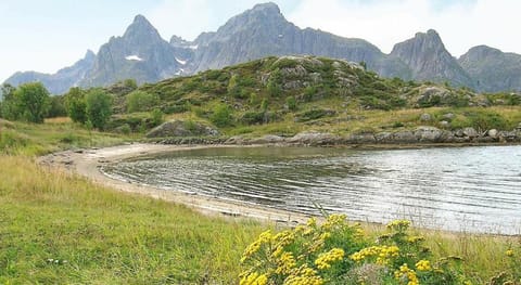 person holiday home in Digermulen Apartment in Lofoten