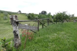 Villa in Vinci with Private Pool  Vineyard Views Vacation rental in Emilia-Romagna