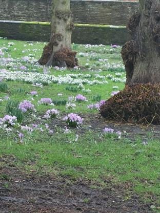 Cosy 3 Bed Family Home By Park Vacation rental in Penrith