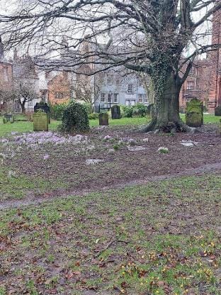 Cosy 3 Bed Family Home By Park Vacation rental in Penrith