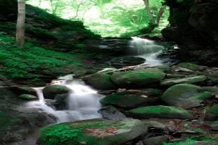 Farmhouse in Carinthia near Afritzer See Apartment in Carinthia, Austria