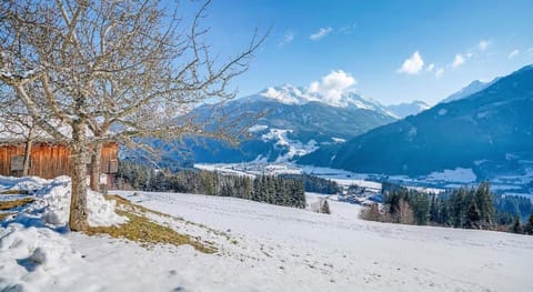 Farmhouse in Hollersbach with Mountain Views Apartment in Salzburgerland