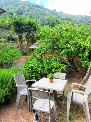 L'Oliveto dei Cinque Sensi, kitchen and garden Vacation rental in Vernazza