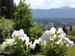 Gemutliche Ferienwohnung nahe Ski Nassfeld Apartment in Friuli-Venezia Giulia