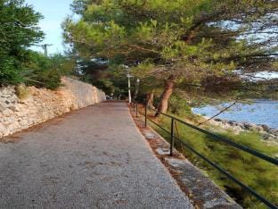 Apartment Saul Cavtat  - One Bedroom Apartment with Terrace and Sea View Apartment in Cavtat