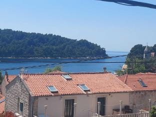 Apartment Saul Cavtat  - One Bedroom Apartment with Terrace and Sea View Apartment in Cavtat