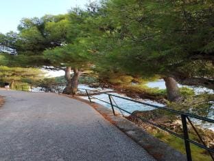 Apartment Saul Cavtat  - One Bedroom Apartment with Terrace and Sea View Apartment in Cavtat