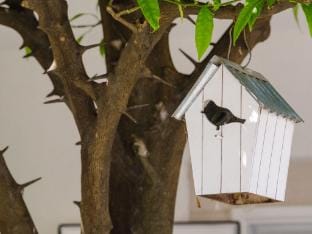 Apartments  Rooms Barisic - Studio Apartment with Balcony and Garden View Second Floor-APT 13 Apartment in Srebreno