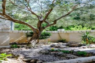 Villa Kosa - Studio Apartment with Balcony and Sea View Apartment in Brela