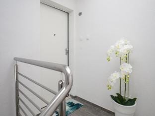 Apartments Dva Galeba - Standard One Bedroom Apartment with Sea View 203 Apartment in Bol