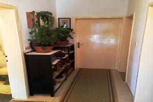 Guest House Ruza - Double Room with Shared Bathroom Apartment in Dubrovnik