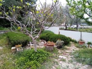 Apartments Vanja Skara Biograd - Studio Apartment with Terrace Apartment in Biograd na Moru