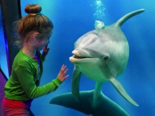 Bungalow in Breskens near the Beach Vacation rental in Zeeland, Netherlands