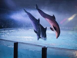 Holiday Home Breskens near the Coast Vacation rental in Zeeland, Netherlands