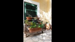 Close To The Sea, 1-bedroom Apartment Sonia Apartment in Šibenik-Knin County, Croatia