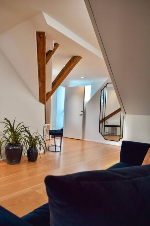 Central Penthouse with Private Rooftop Terrace Apartment in Copenhagen
