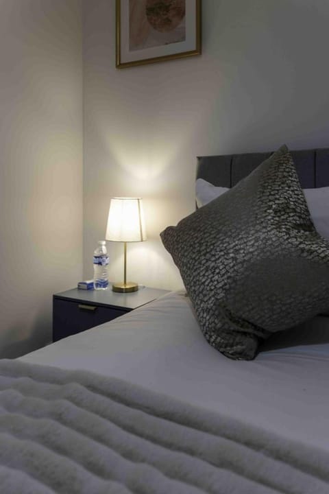 Montgomery Avenue Apartment in Paisley