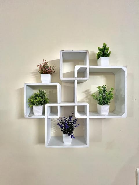 Bebo's Abode Apartment in Jaipur