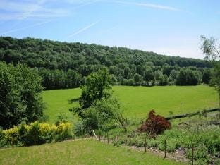 Holiday Home in Durbuy with BBQ  Terrace Vacation rental in Wallonia, Belgium
