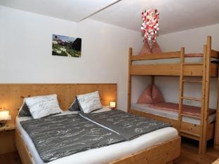 Apartment in Mittersill near Hohe Tauern Vacation rental in Salzburgerland