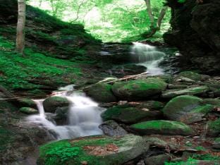 Farmhouse near Afritzer See  Verditz Trails Apartment in Carinthia, Austria