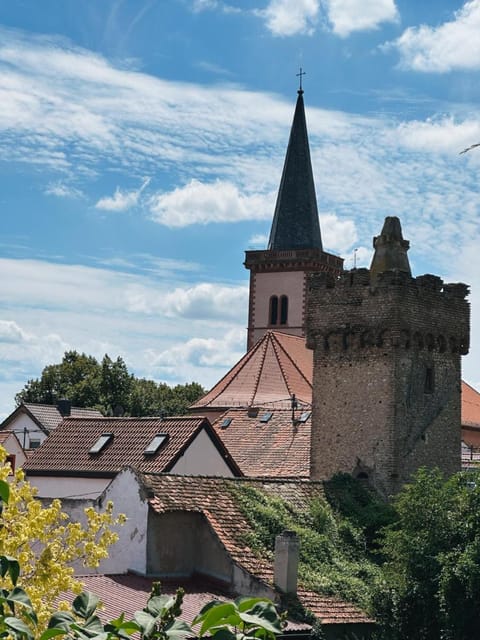 Hotel Traube Rheinhessen Hotel in Worms