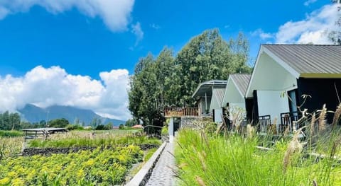 The Iris Kintamani Hotel in Karangasem Regency