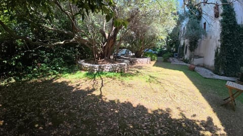 Luxury Hotel Dubrava Budva Hotel in Budva